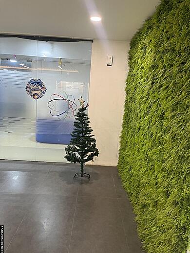 Biophilic elements