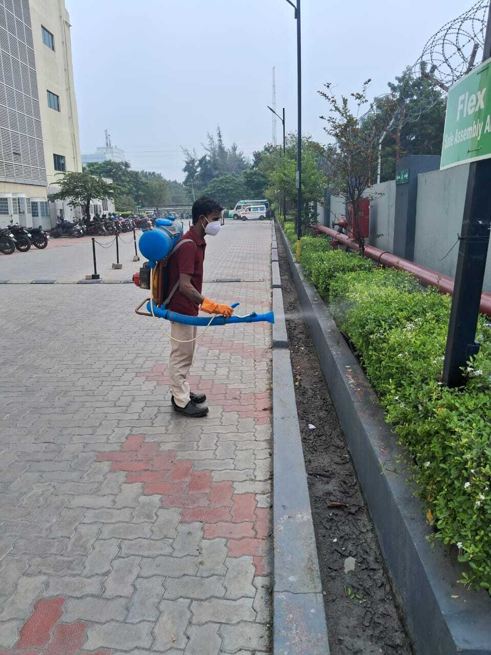 Organic Pest Control