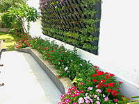 Flowering Green Wall Coimbatore