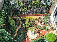 RS Puram Residence vertical garden
