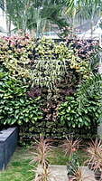 High end green wall with bio-wall panels
