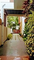 driveway vertical garden coimbatore