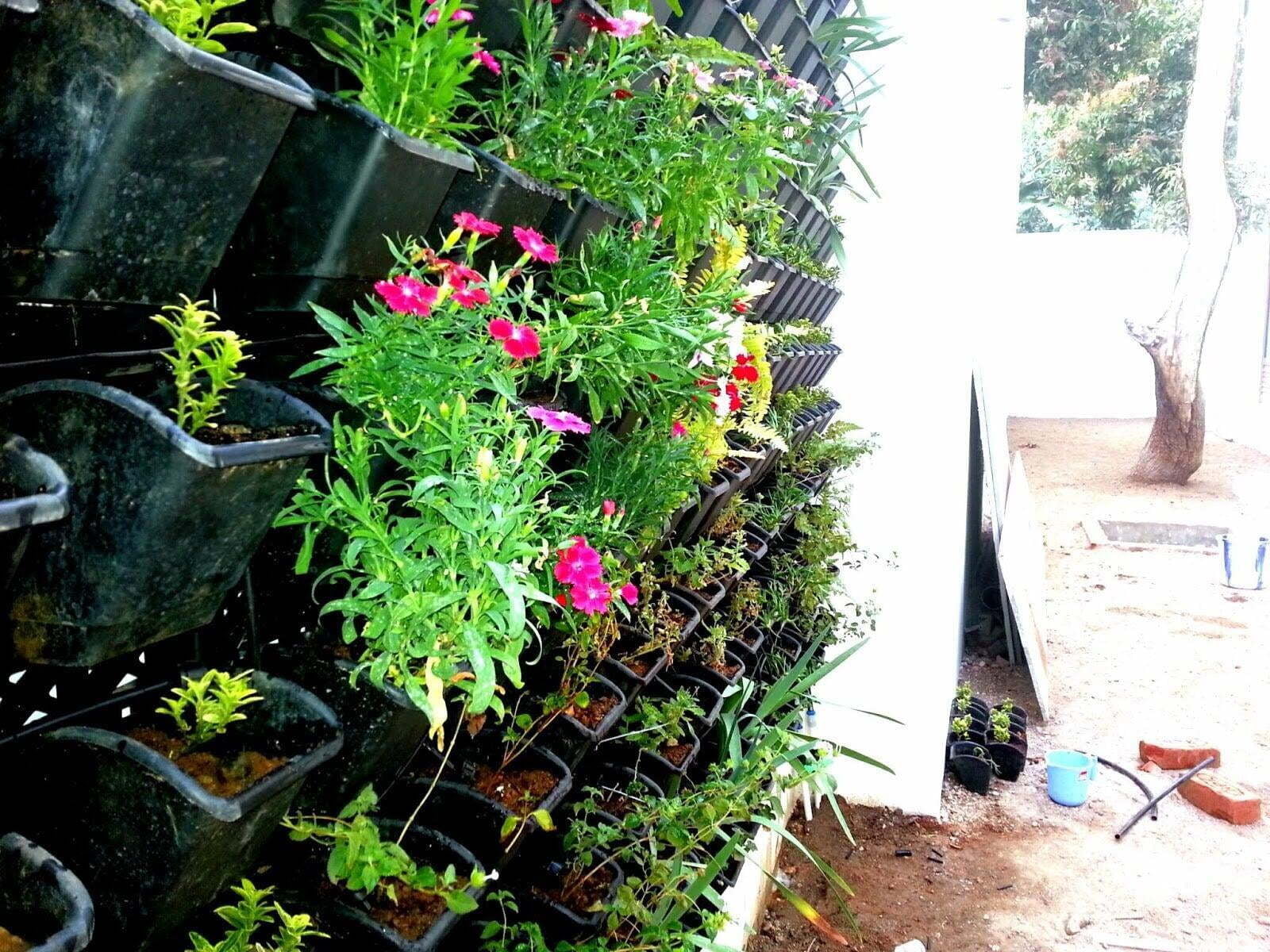 Green wall system in coimbatore