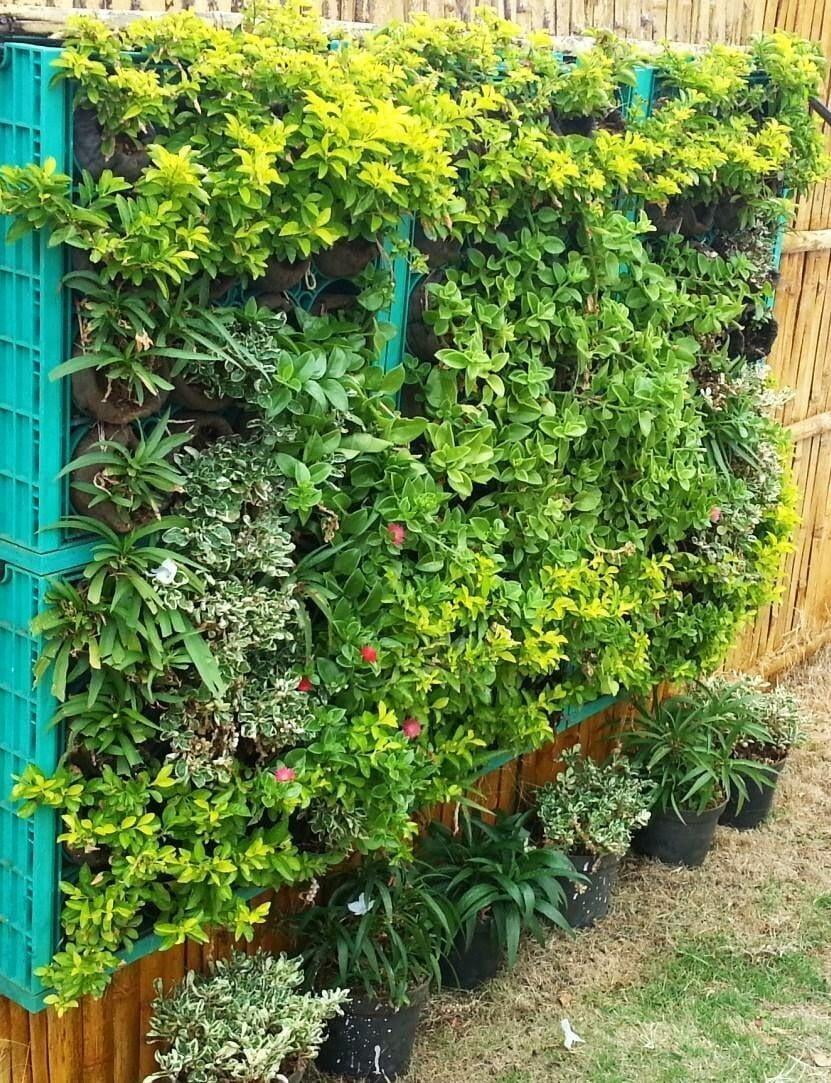 Growbag green wall coimbatore
