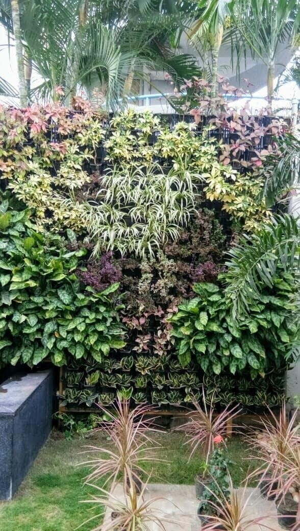 High end green wall with bio-wall panels
